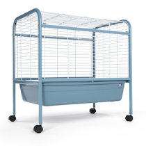 Wayfair guinea pig clearance cages